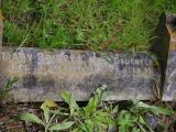 image of grave number 919868